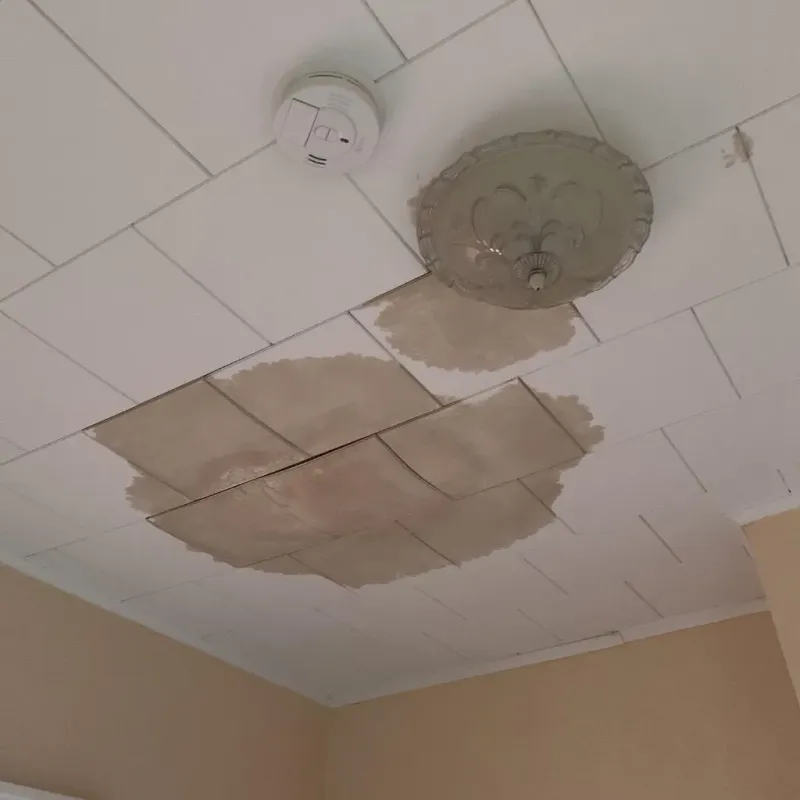 Ceiling Water Damage Repair in Commercial Point, OH