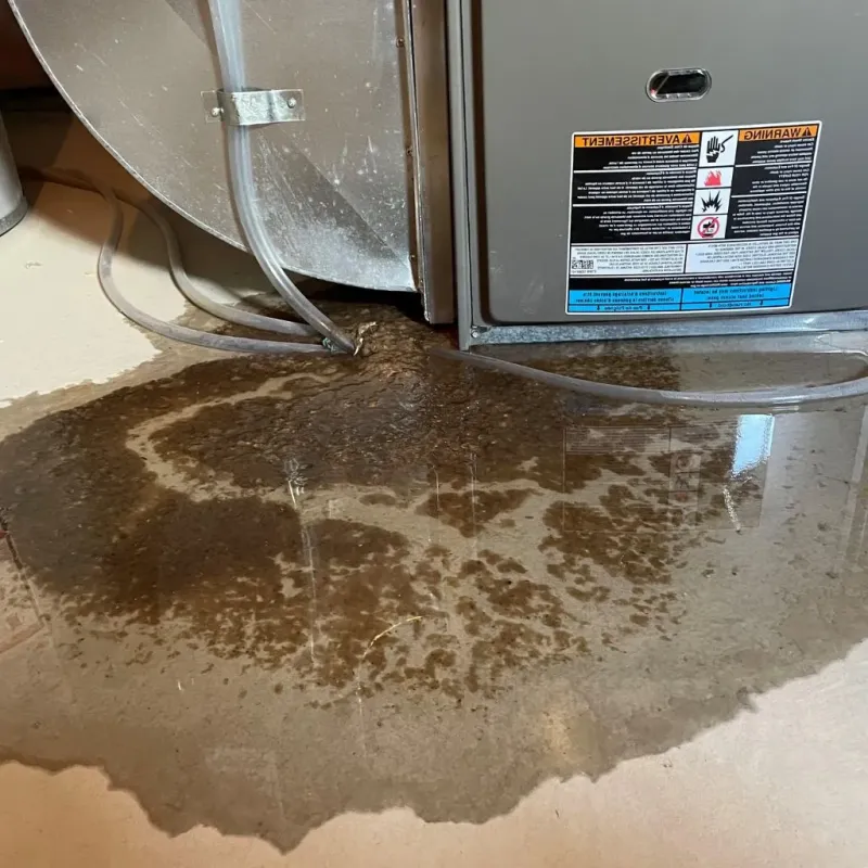 Pipe Burst and Leak Restoration in Commercial Point, OH