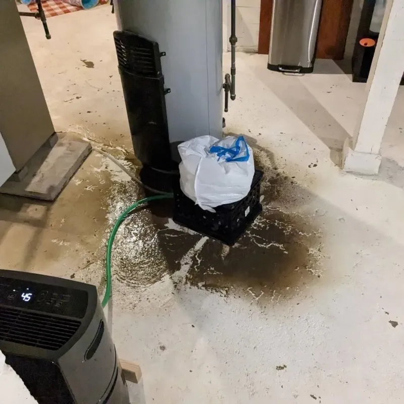 Sewage Backup Cleanup Service in Commercial Point, OH